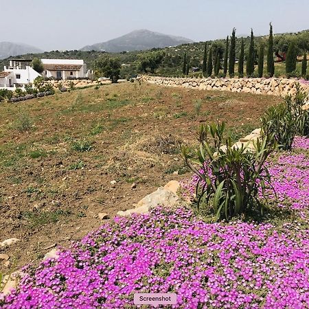 Finca Zayas Casa Rural & Guest Suites Periana Dış mekan fotoğraf