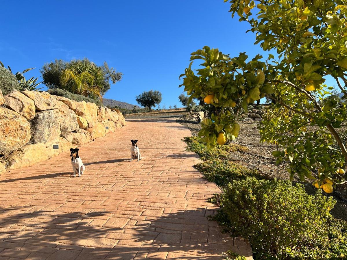 Finca Zayas Casa Rural & Guest Suites Periana Dış mekan fotoğraf