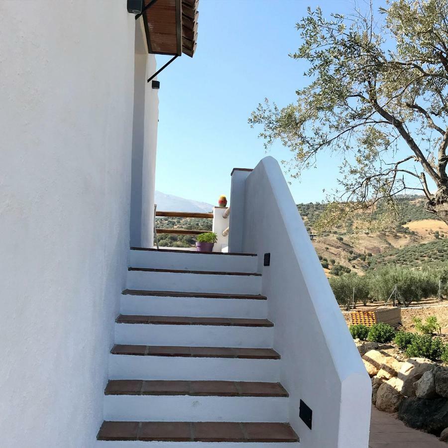 Finca Zayas Casa Rural & Guest Suites Periana Dış mekan fotoğraf